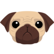 Pug